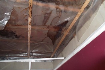Mold Removal and Water Damage Restoration In Tappan NY