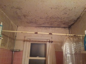 Before Mold Restoration and Bath Remodel Nutley NJ